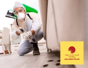 شركة مكافحة حشرات في الفجيرة